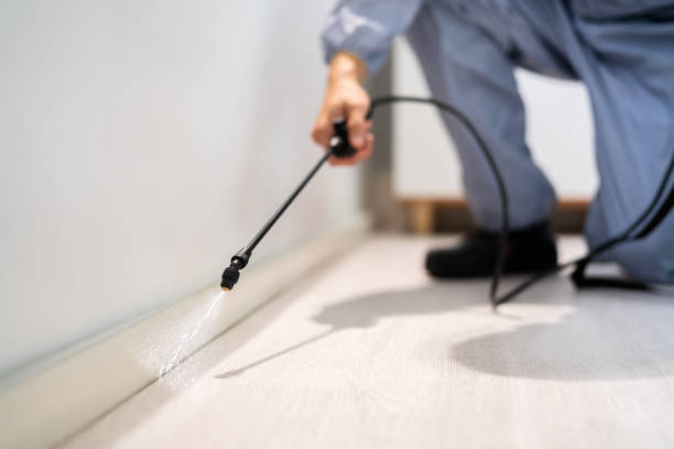 Licensed Mosquito Control service in Springfield, MI - Nex Pest Control