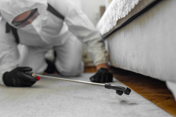 Professional Mosquito Control technician working in Springfield, MI