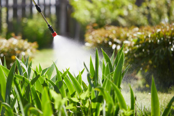 24/7 Emergency Mosquito Control experts in Springfield, MI