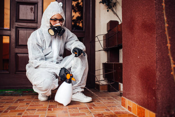Reliable Mosquito Control contractor in Springfield, MI by Nex Pest Control