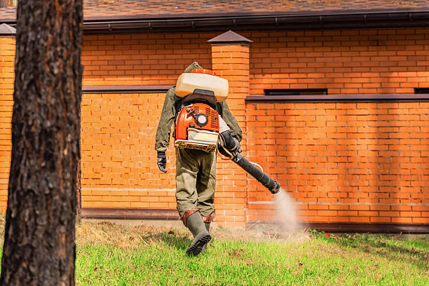 Top rated local Mosquito Control specialists in Springfield, MI